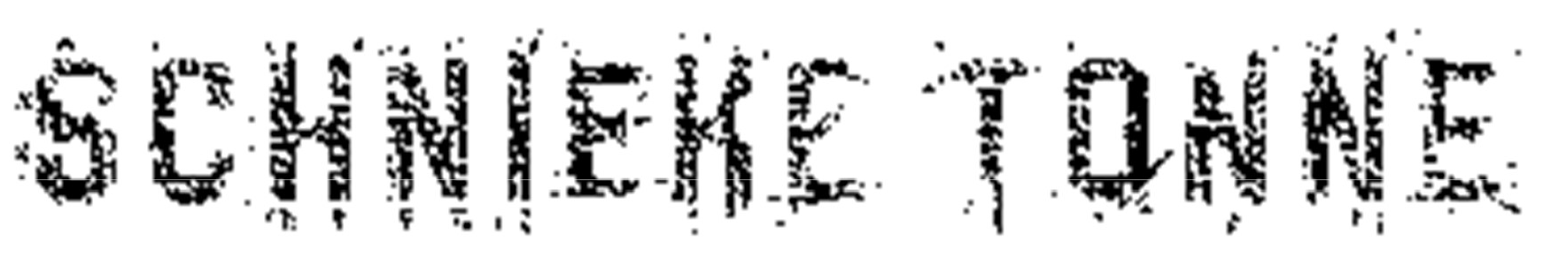 Wortmarke Logo SCHNIEKE TONNE